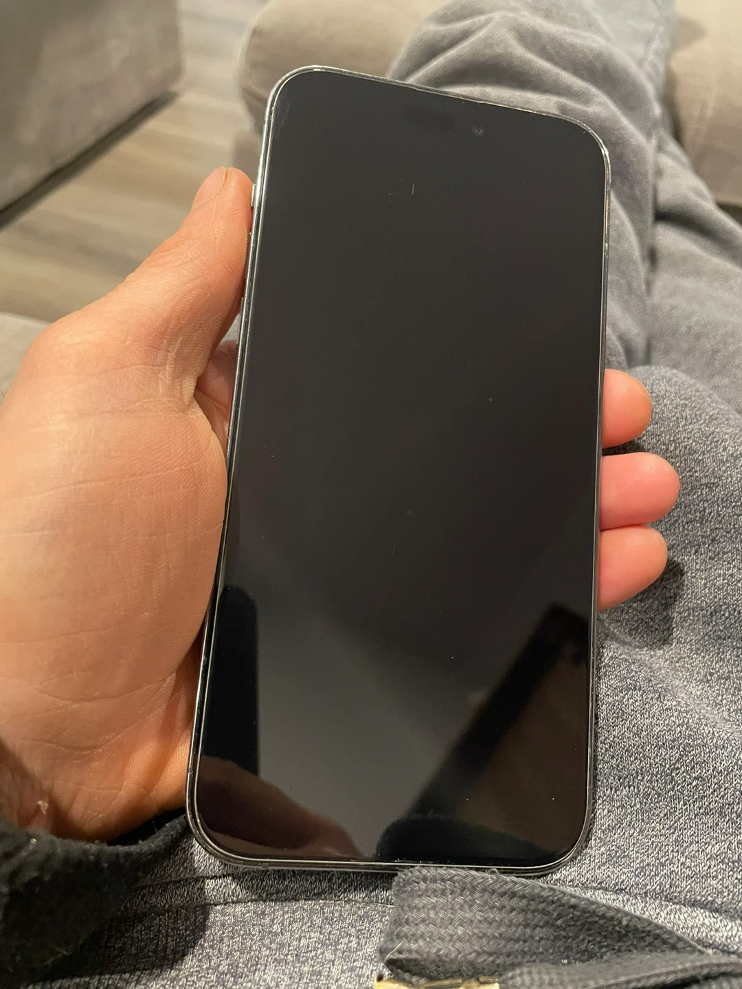 Apple iPhone 14 Pro - photo 2
