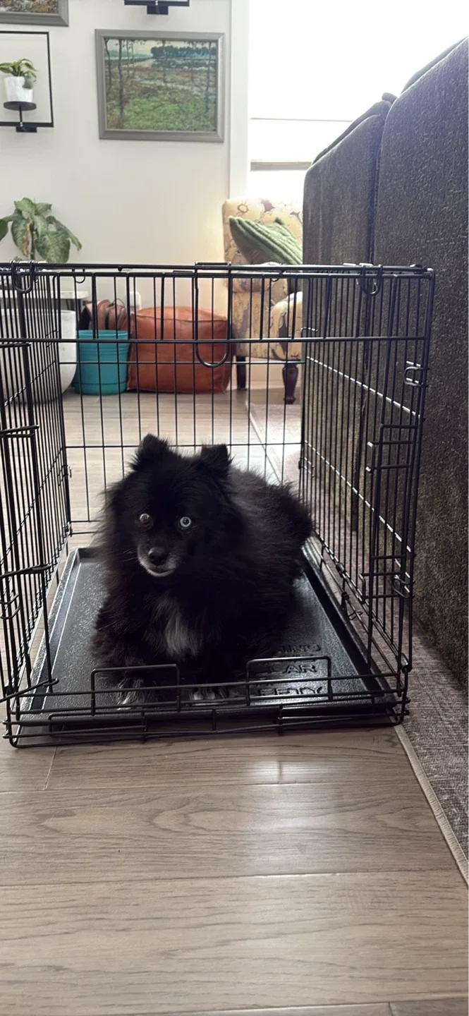 Petmate Wire Dog Crate – Small/Medium - photo 3
