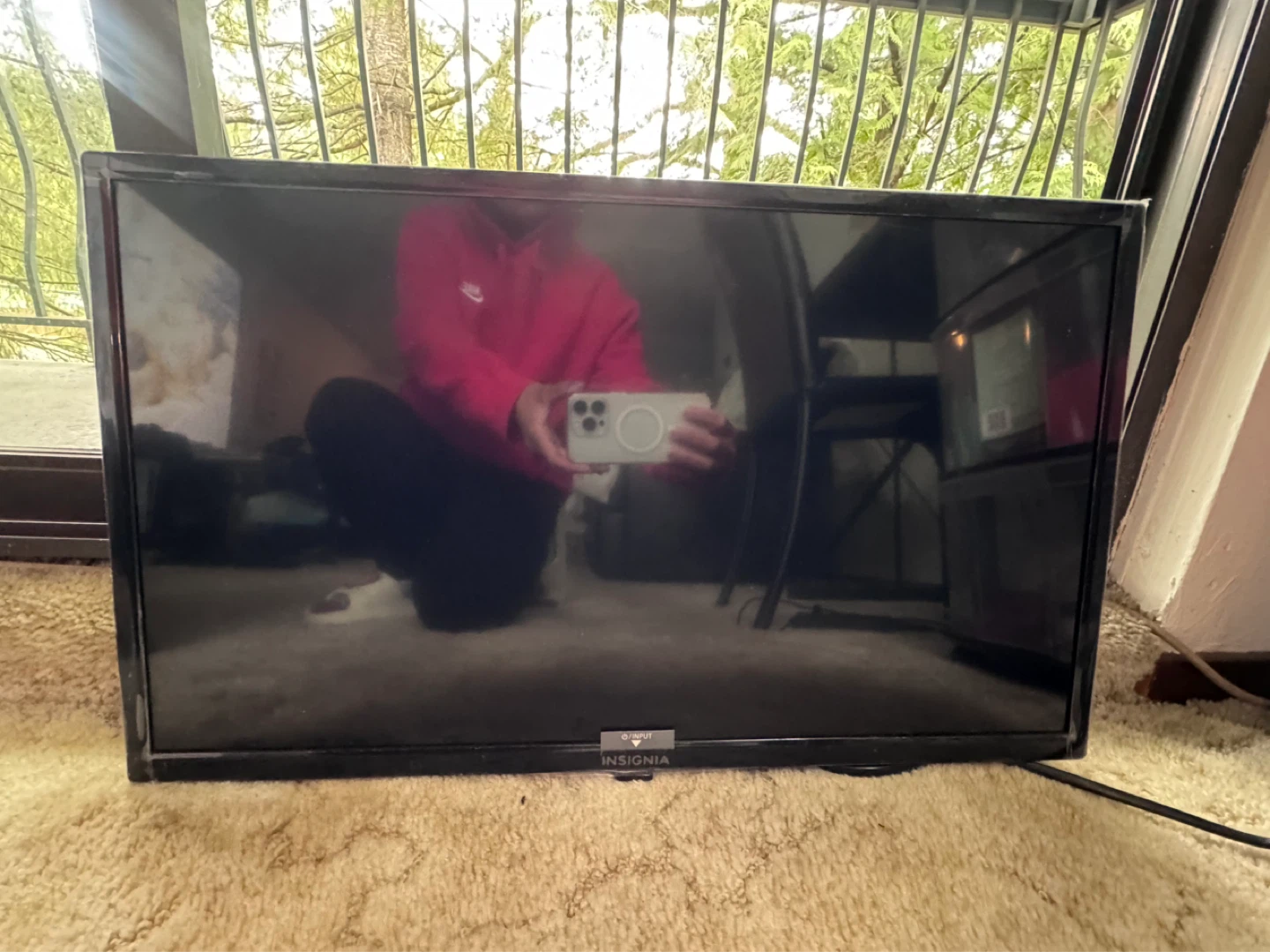 Insignia 24" LED TV NS-24D310CA21 - photo 3