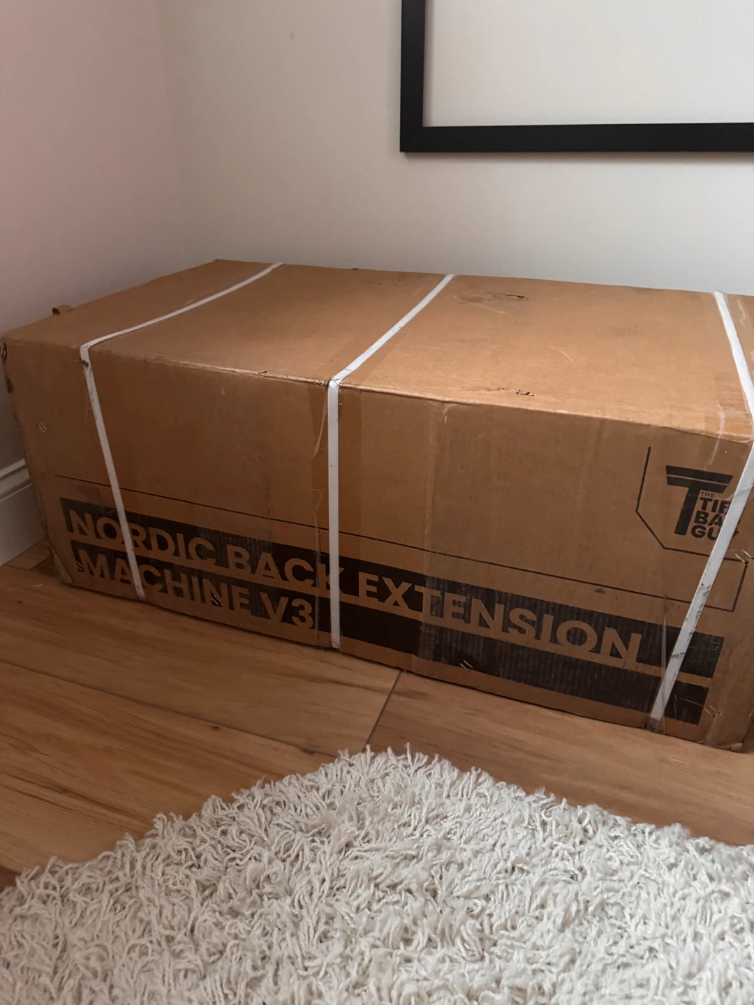 The Tib Bar Guy Nordic Back Extension Machine V3