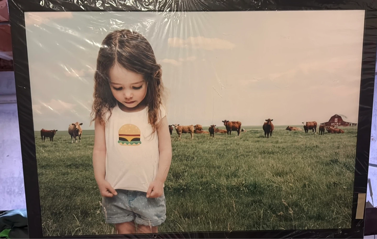 “Where is Betsy?” by Saga Wendotte framed