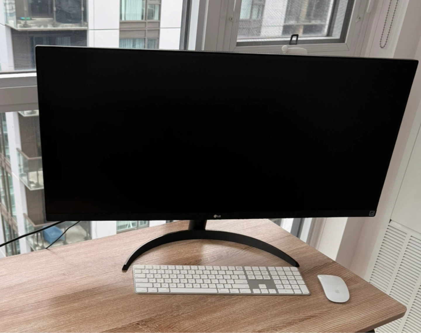 LG Monitor ultrawide 34 inches flat