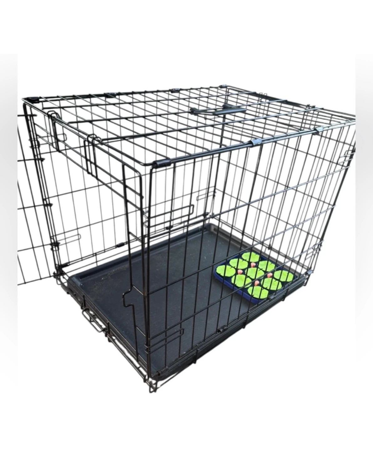 Life Stages Dog Crate with Tray and Treat Dispenser - photo 3