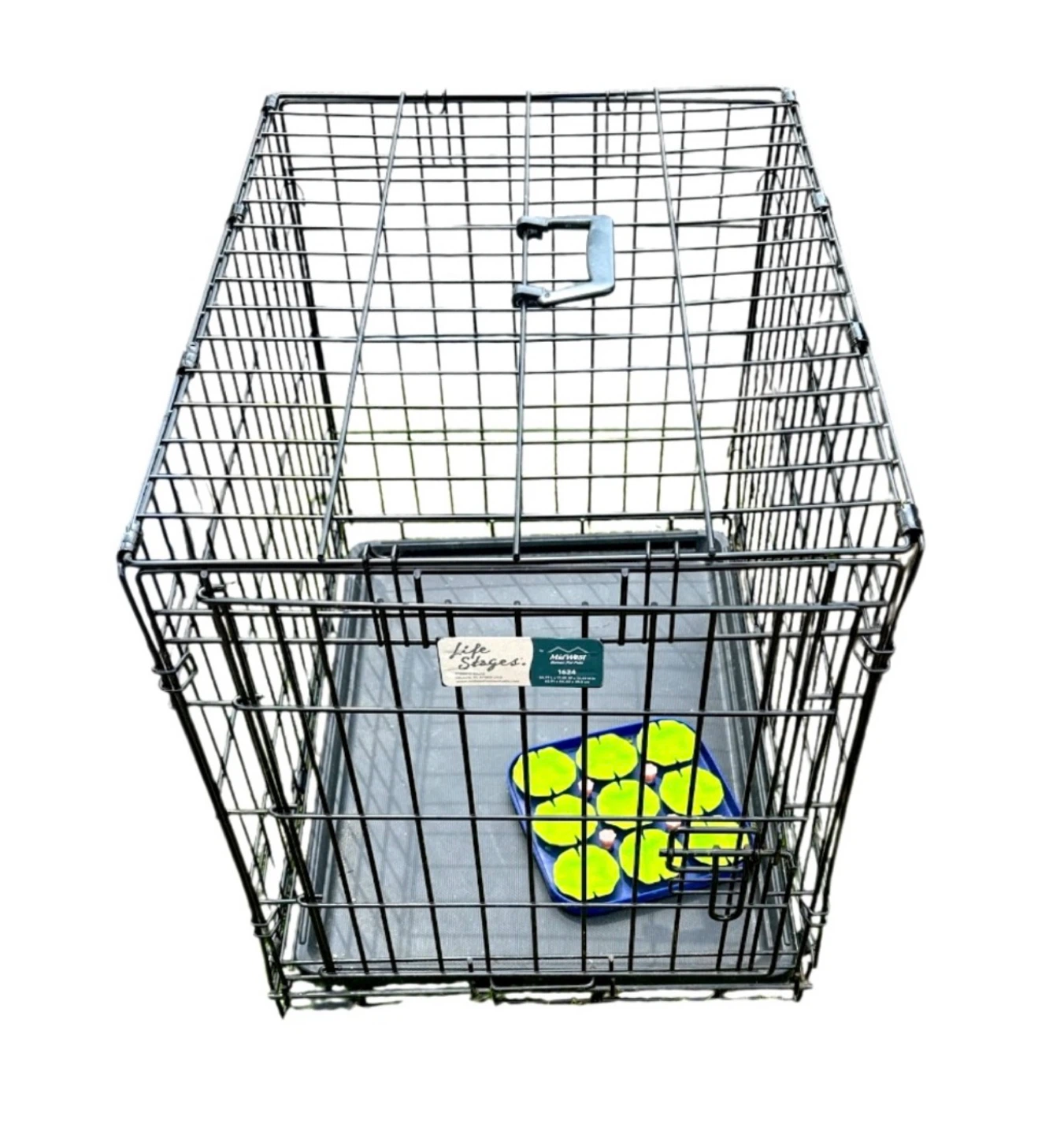 Life Stages Dog Crate with Tray and Treat Dispenser