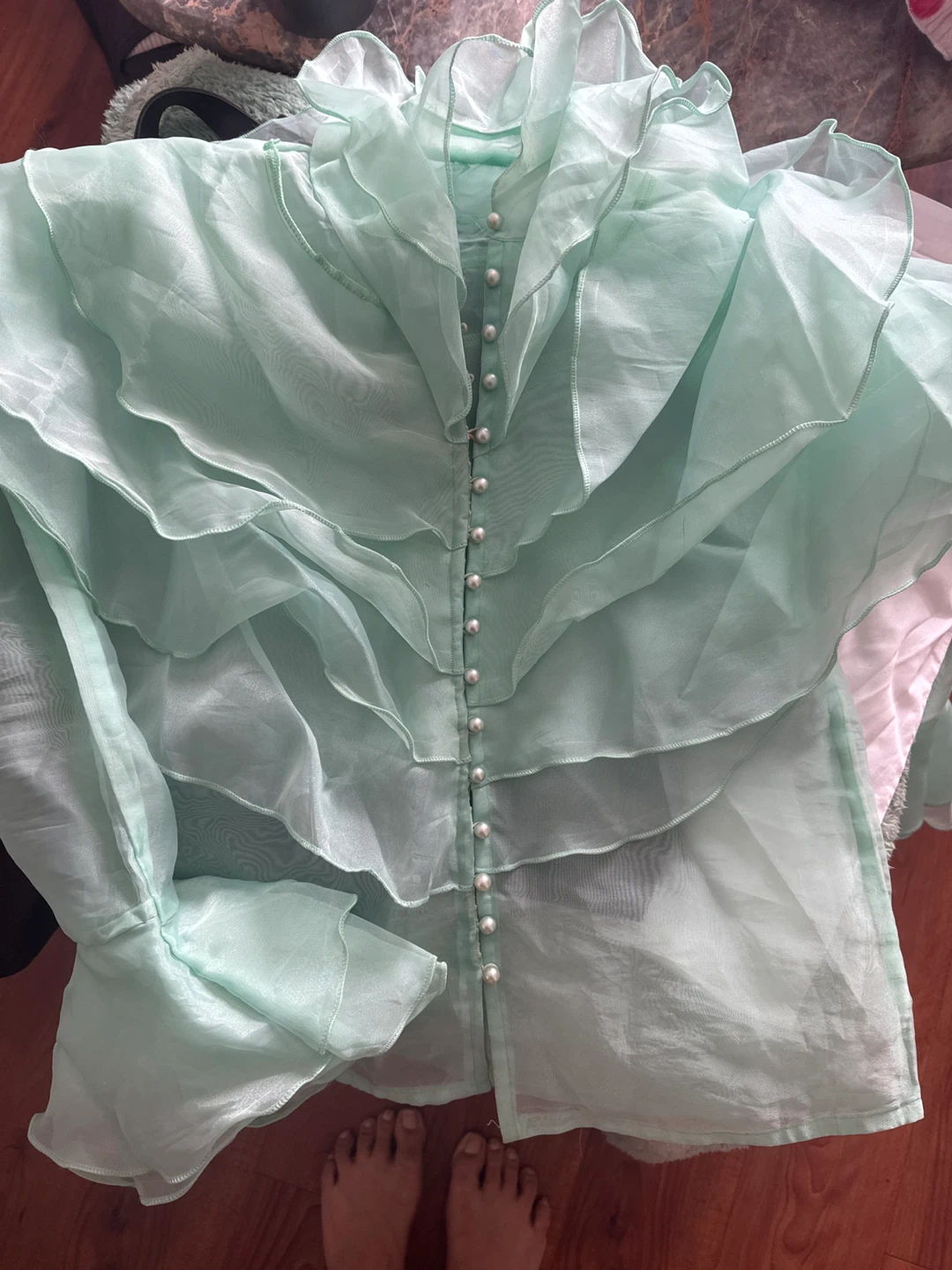 Sheer Ruffle Blouse