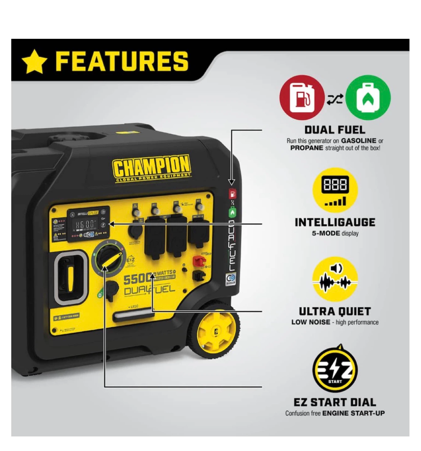 Champion 5500-Watt Dual Fuel Generator - photo 3