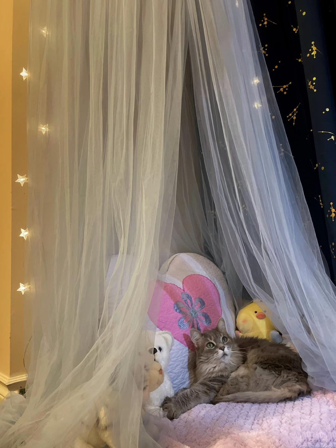 light blue Tulle Canopy with Star Lights