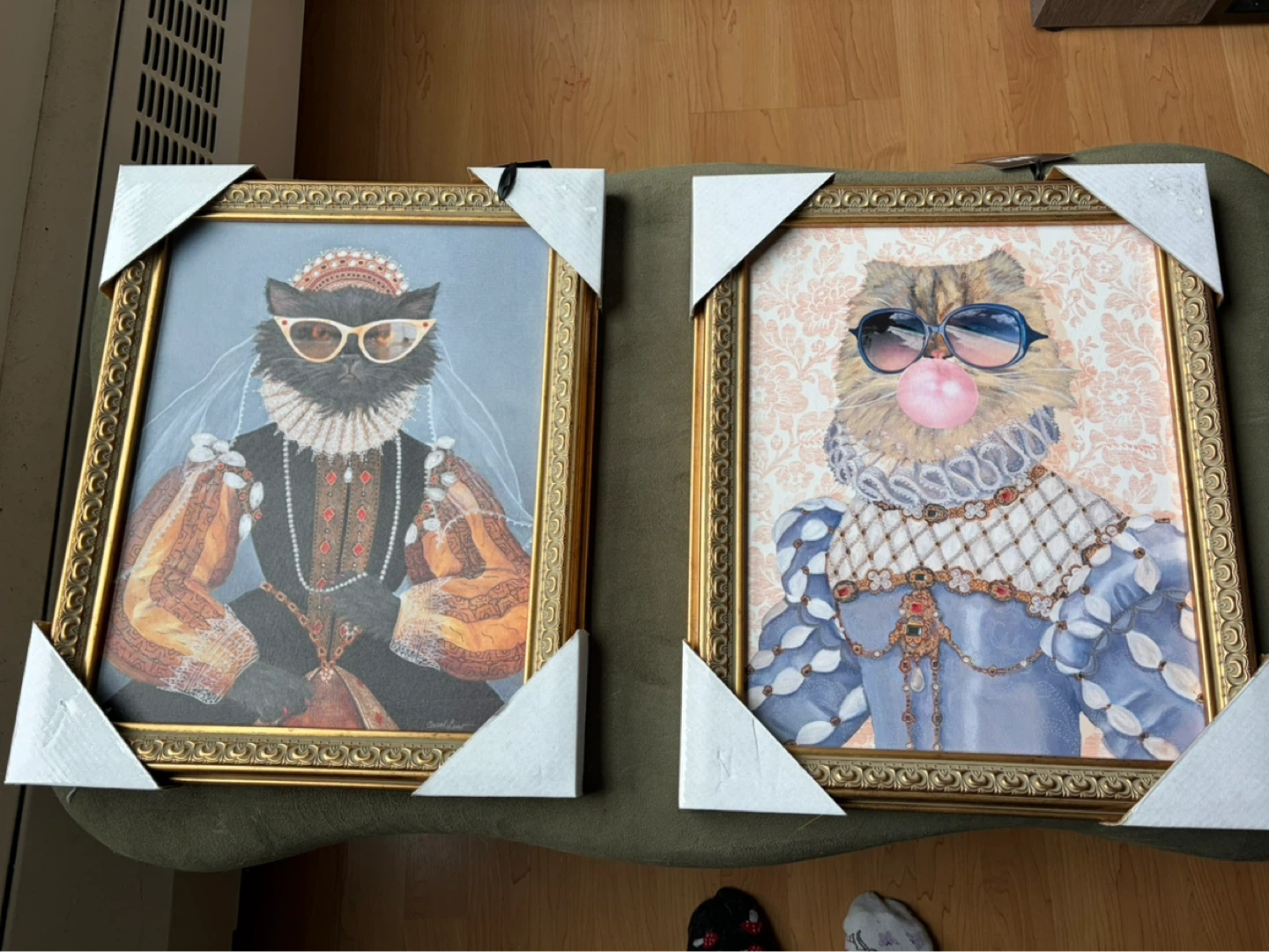 Set of 2 Framed Cat Portraits