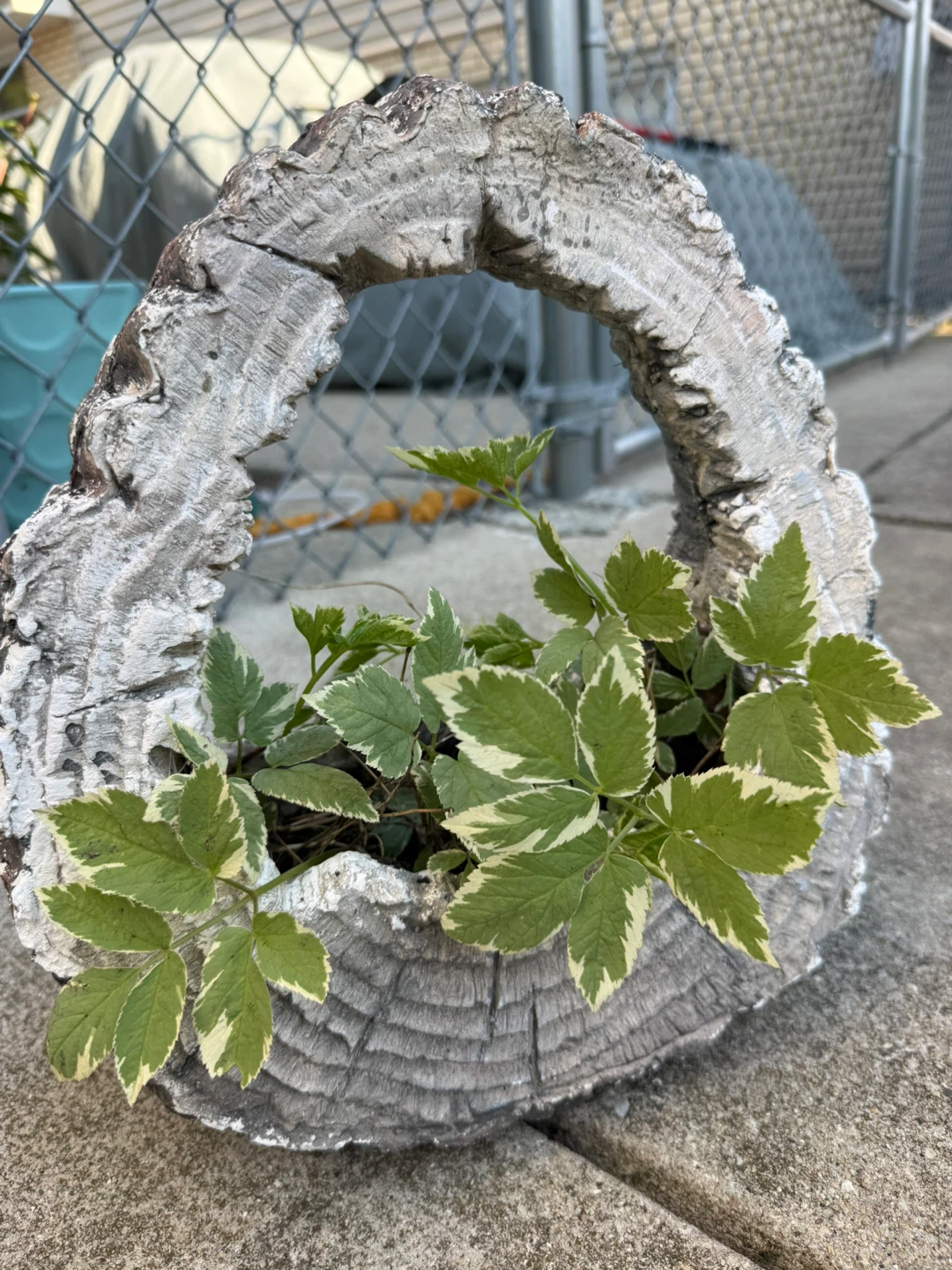 Log-shaped Planter Pot - photo 4