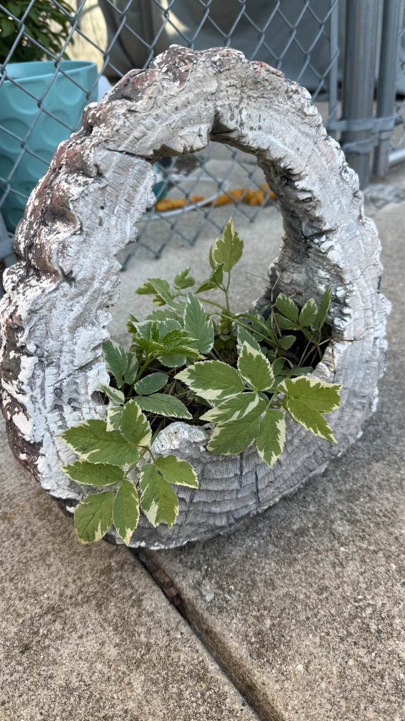 Log-shaped Planter Pot