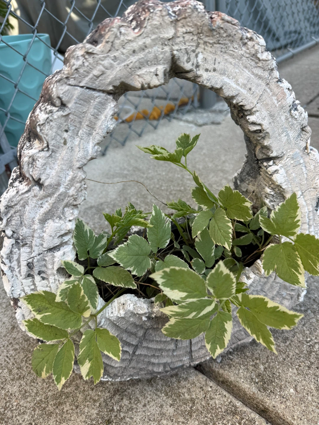 Log-shaped Planter Pot - photo 3