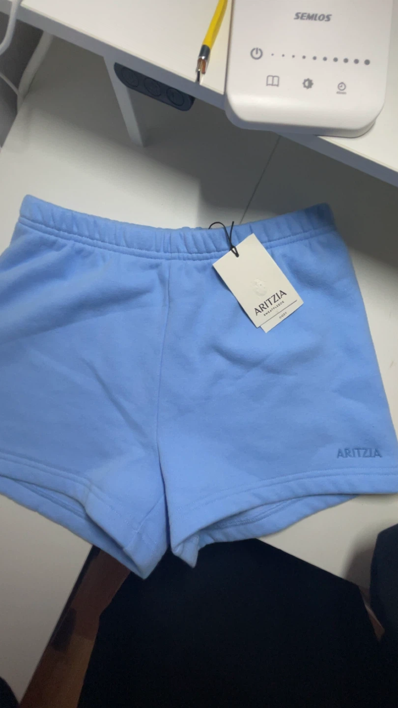 Aritzia Light Blue shorts