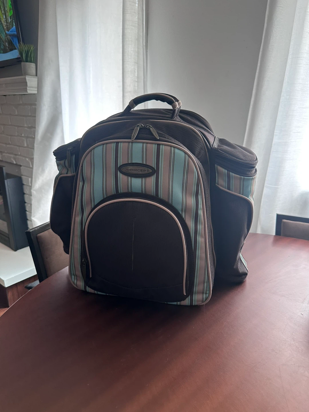 Concept Insulated Picnic Backpack