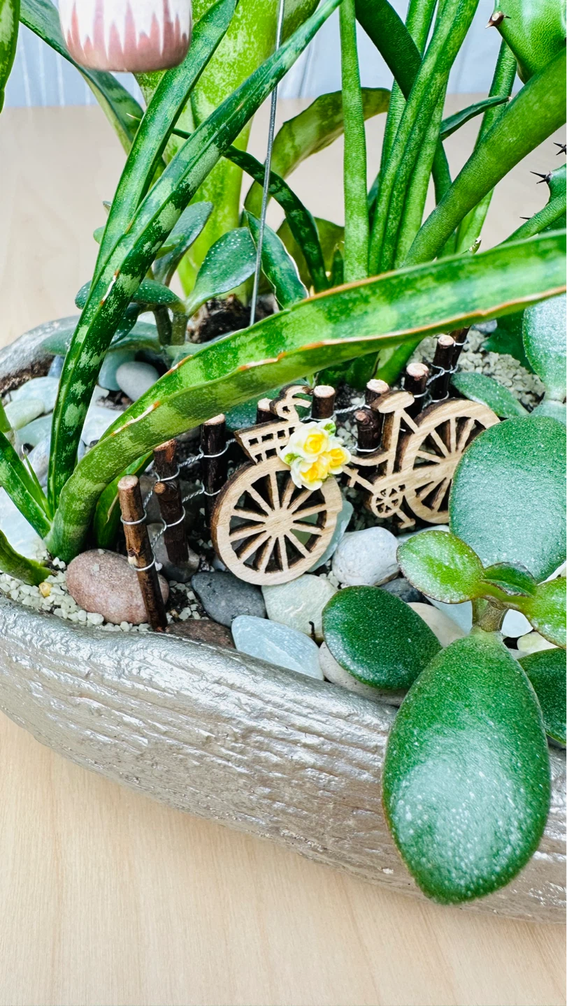 🌱Spring On Sale/ cute plant arrangement - photo 2