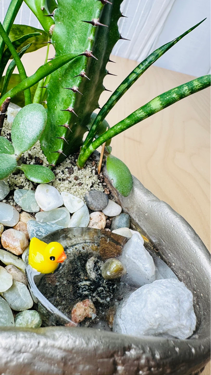 🌱Spring On Sale/ cute plant arrangement - photo 3