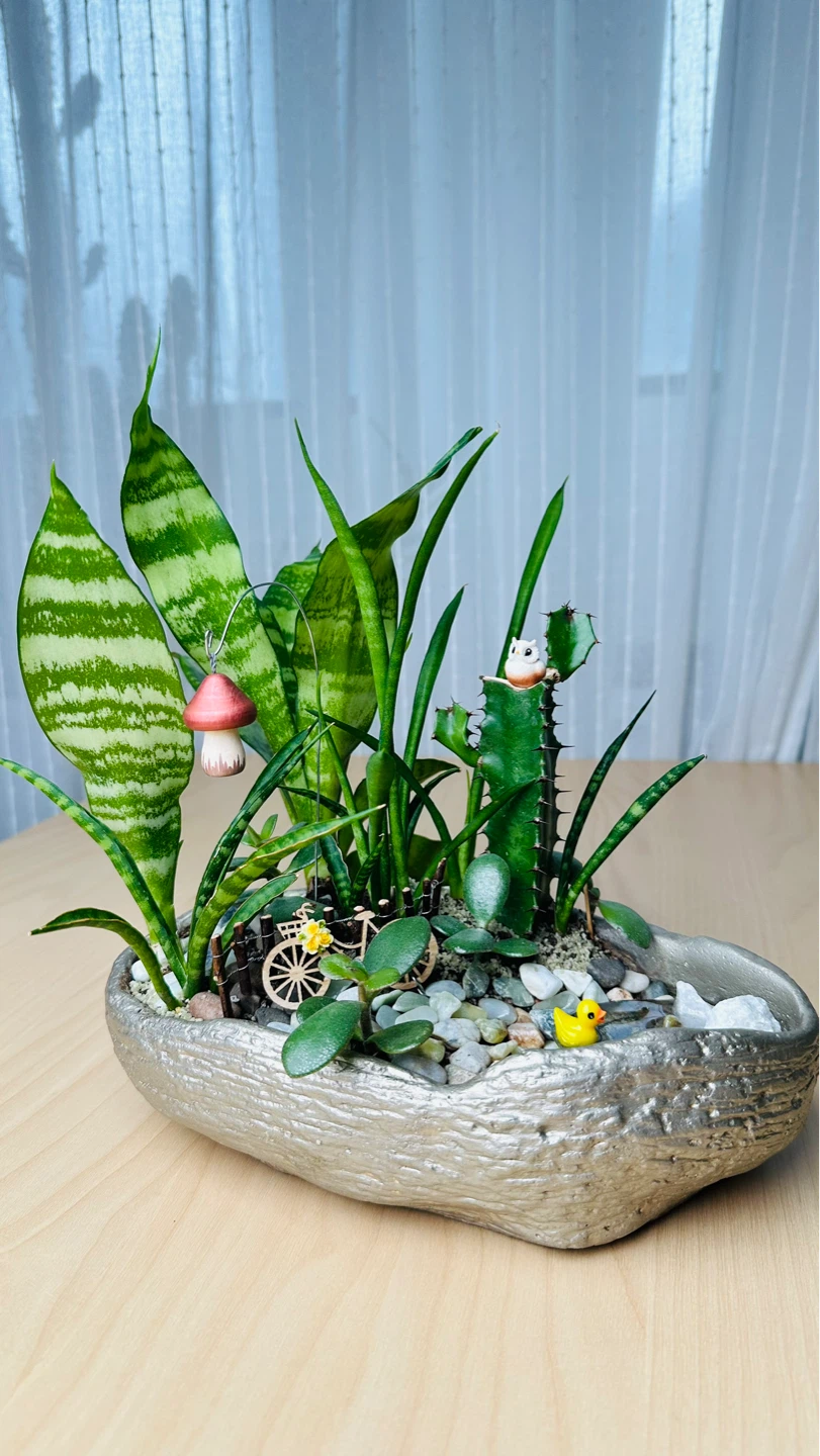 🌱Spring On Sale/ cute plant arrangement