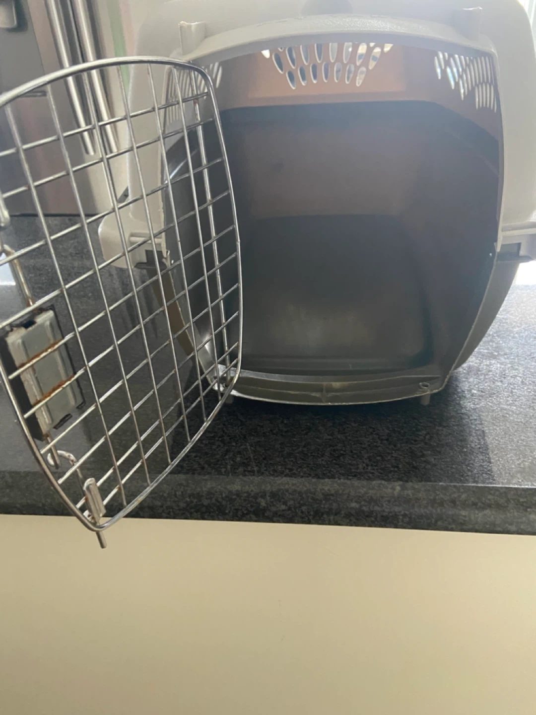 Petmate Pet Taxi Pet Carrier - photo 3