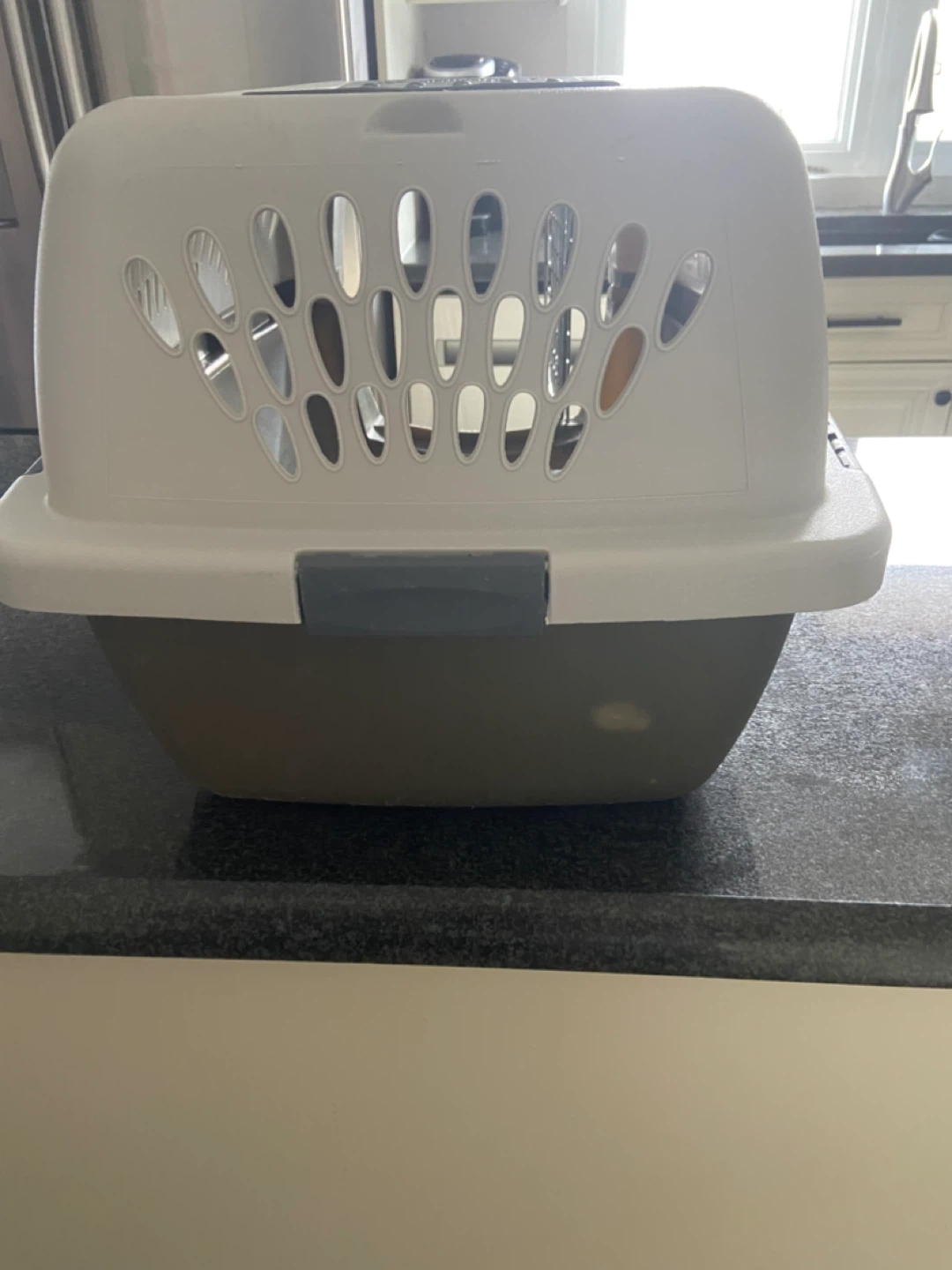 Petmate Pet Taxi Pet Carrier - photo 5