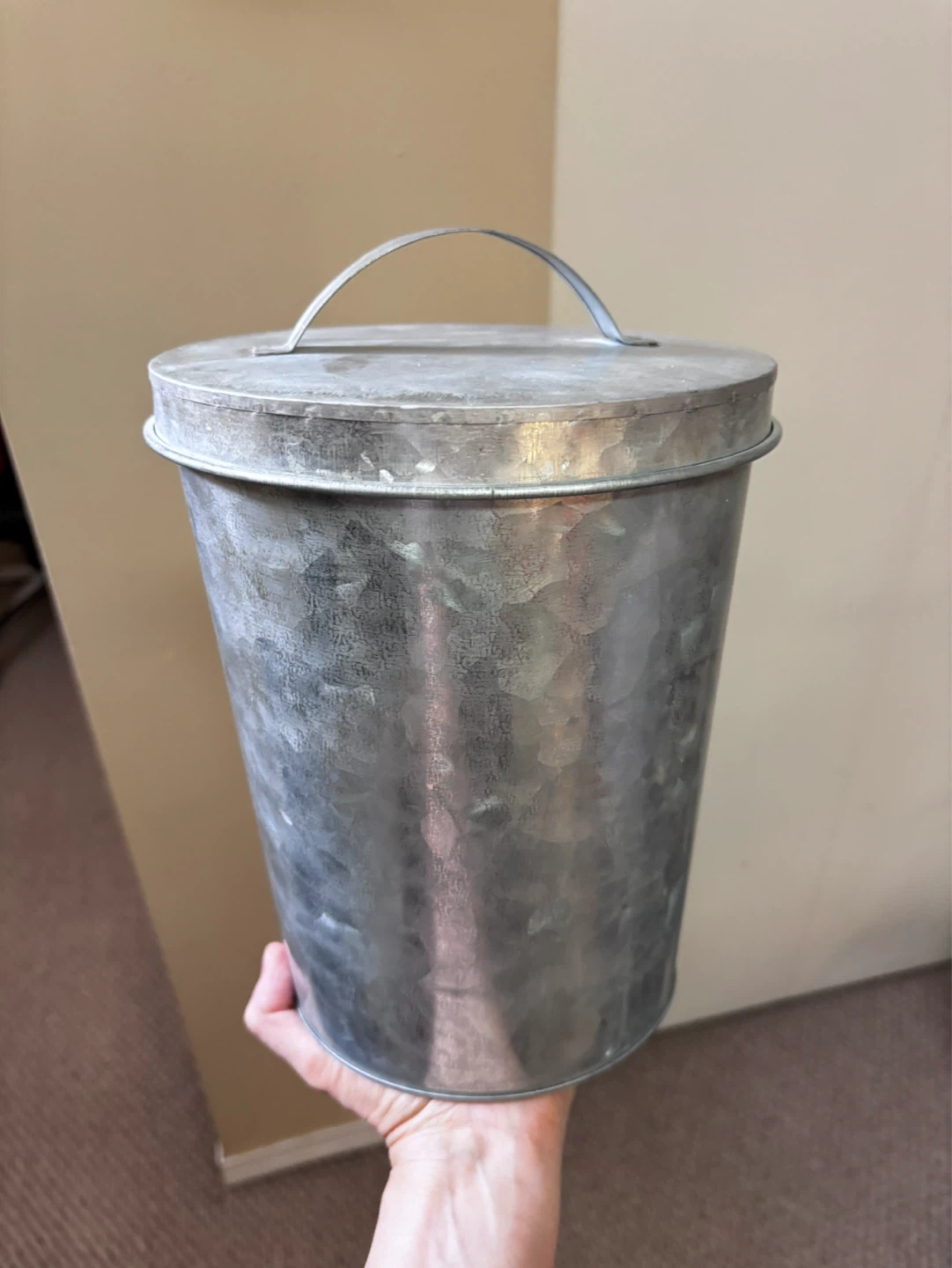 Galvanized Garbage Can