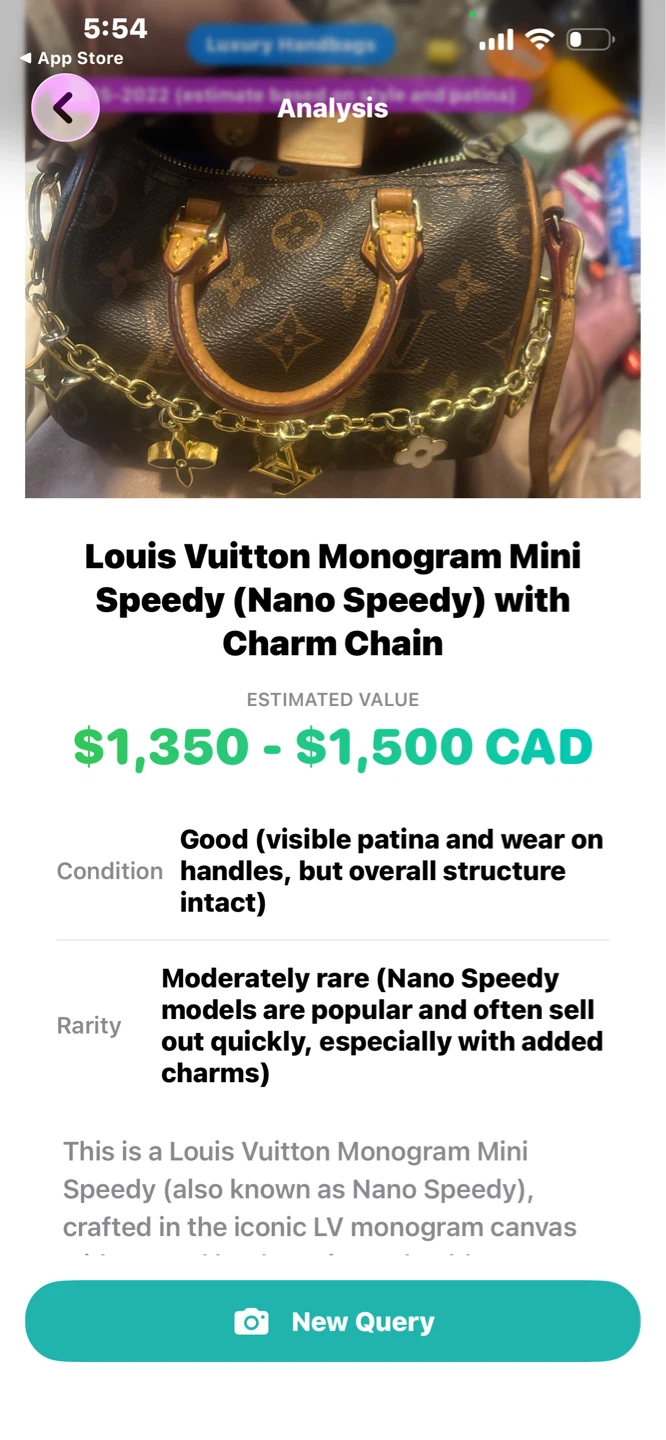 Louis Vuitton Monogram Mini Speedy Charm Chain Bag - photo 4