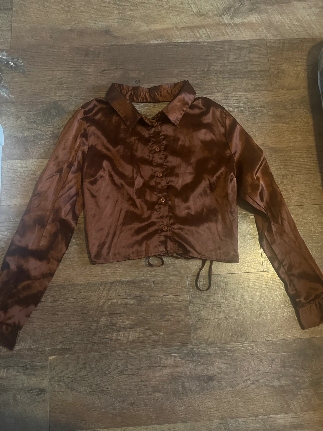 Brown Satin Long Sleeve Crop Top🌱
