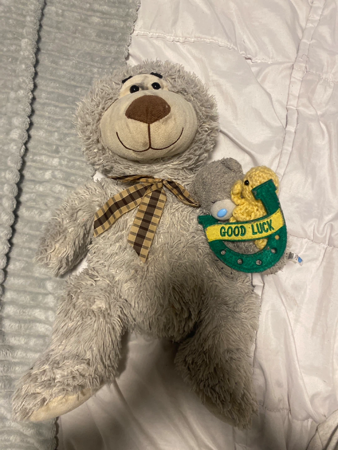 Grey Plush Teddy Bear with Good Luck Horseshoe Charm
