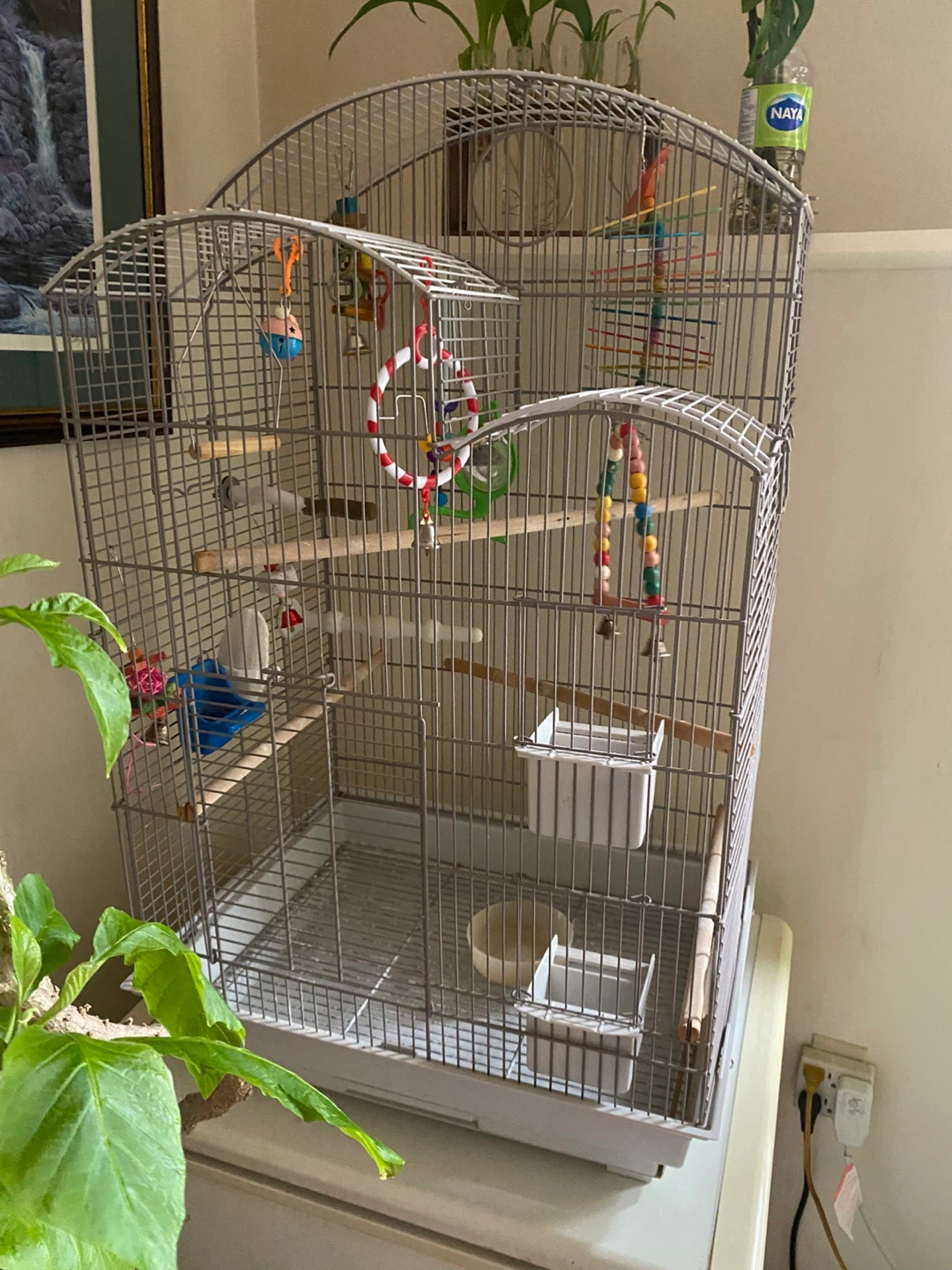 Large Bird Cage with Accessories