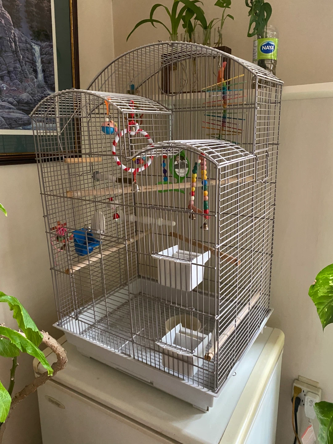 Large Bird Cage with Accessories - photo 3