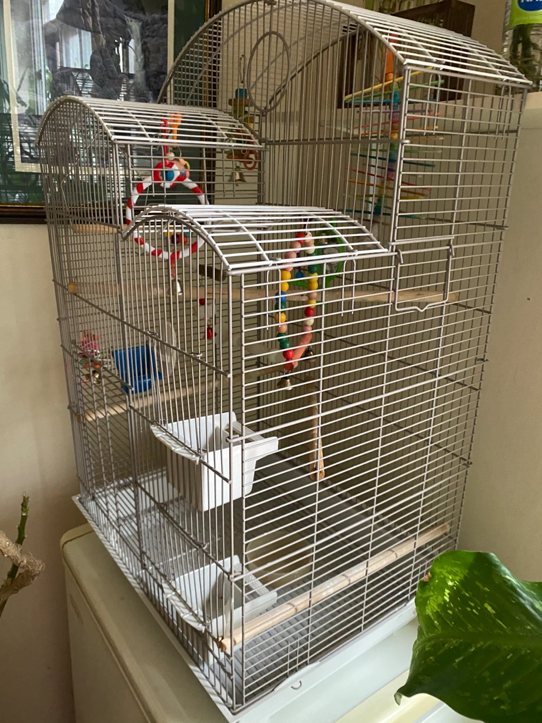 Large Bird Cage with Accessories - photo 2