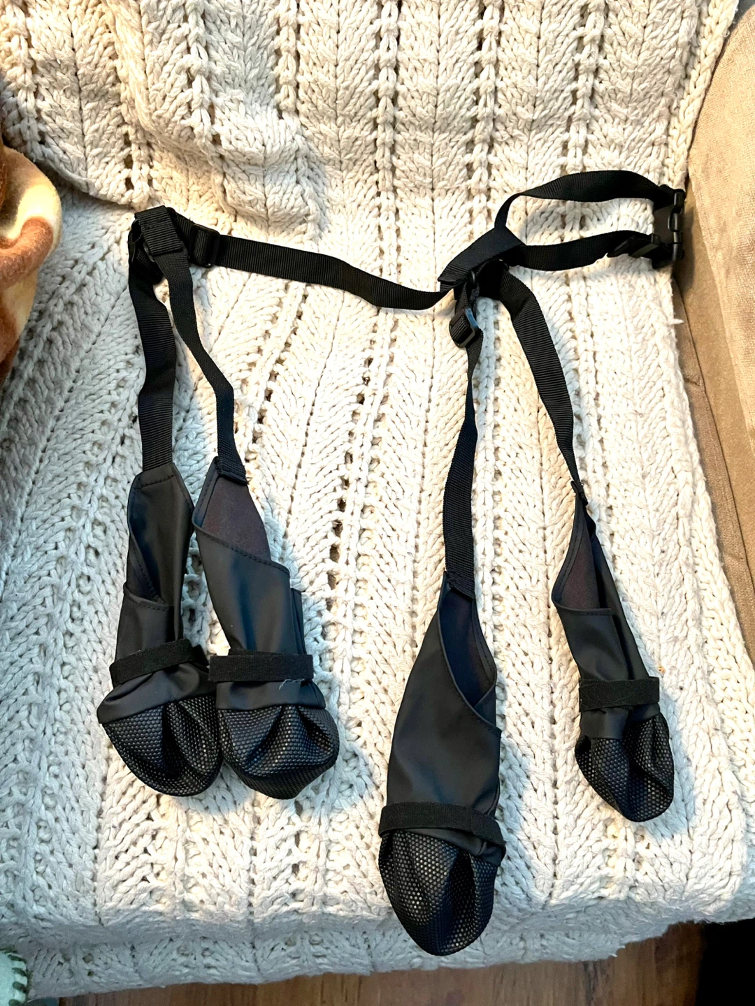 Black, Dog Paw Booties/Harness Set