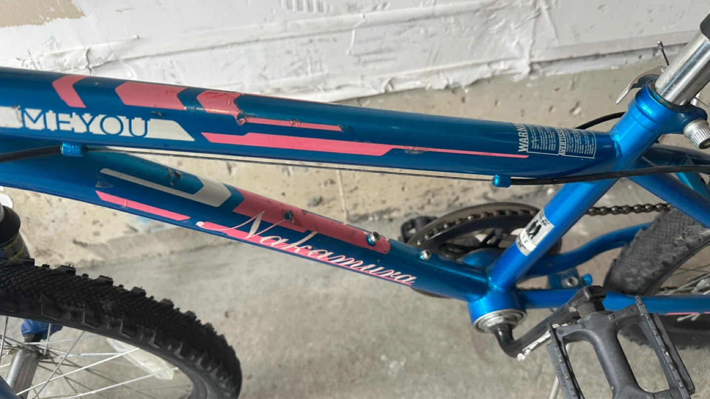 20” Nakamura Kids Bike - photo 4