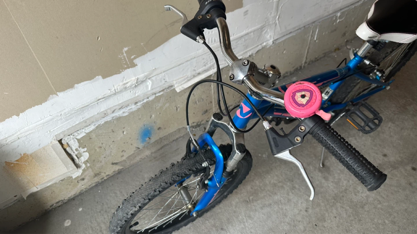 20” Nakamura Kids Bike - photo 2