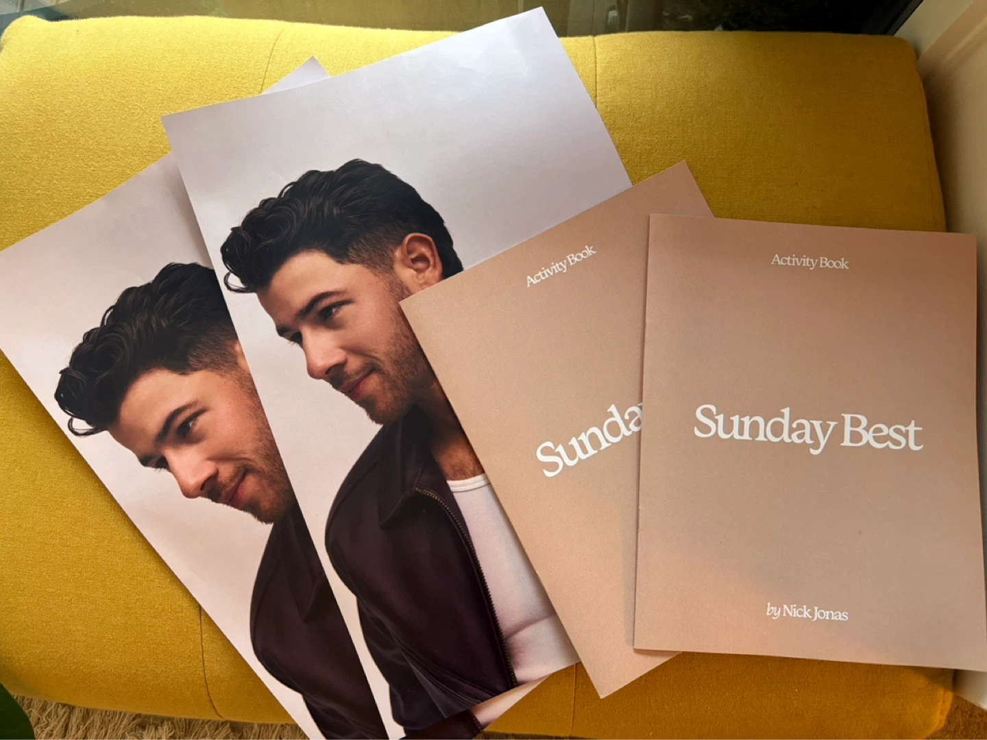 Nick Jonas Sunday Best Activity Book & Photos