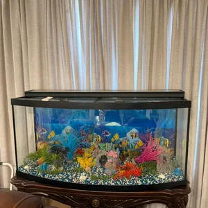 Curved Front Aquarium Fish Tank