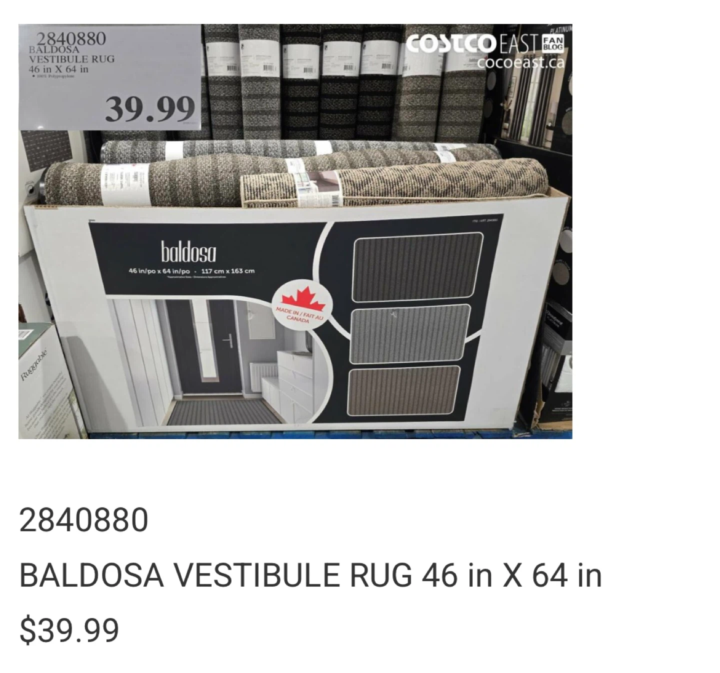 Brand New Vestibule Rug - photo 5