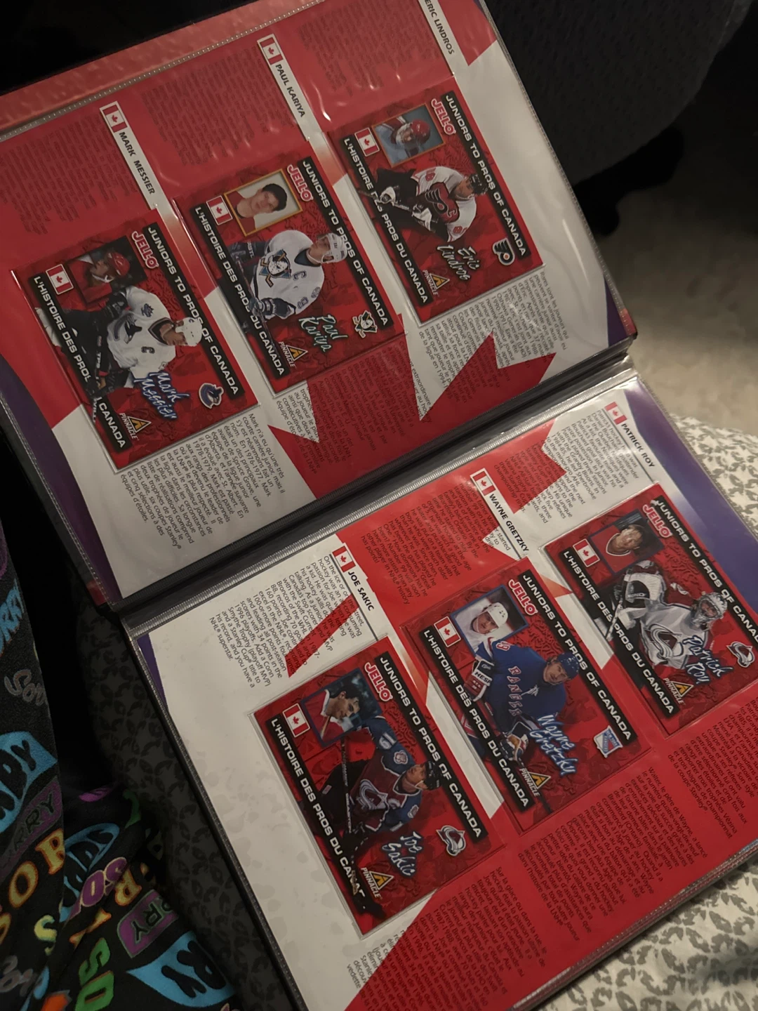 Kraft World's Best Hockey Collectors Album - photo 2