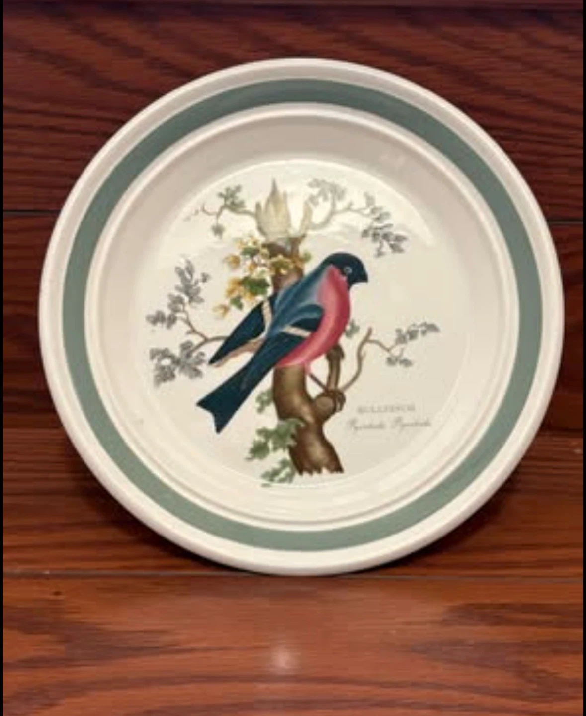 Susan Williams-Ellis Portmeirion “Birds Of Britain” Plate
