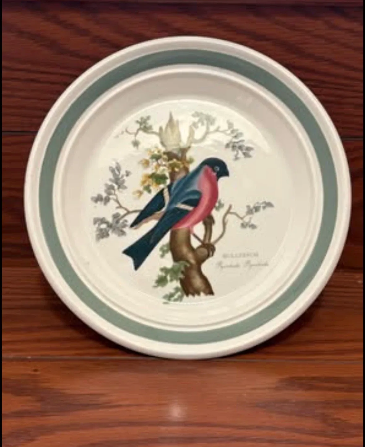 Susan Williams-Ellis Portmeirion “Birds Of Britain” Plate