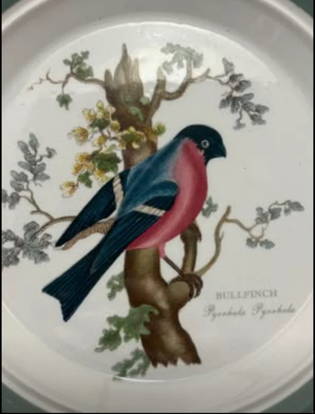 Susan Williams-Ellis Portmeirion “Birds Of Britain” Plate - photo 2