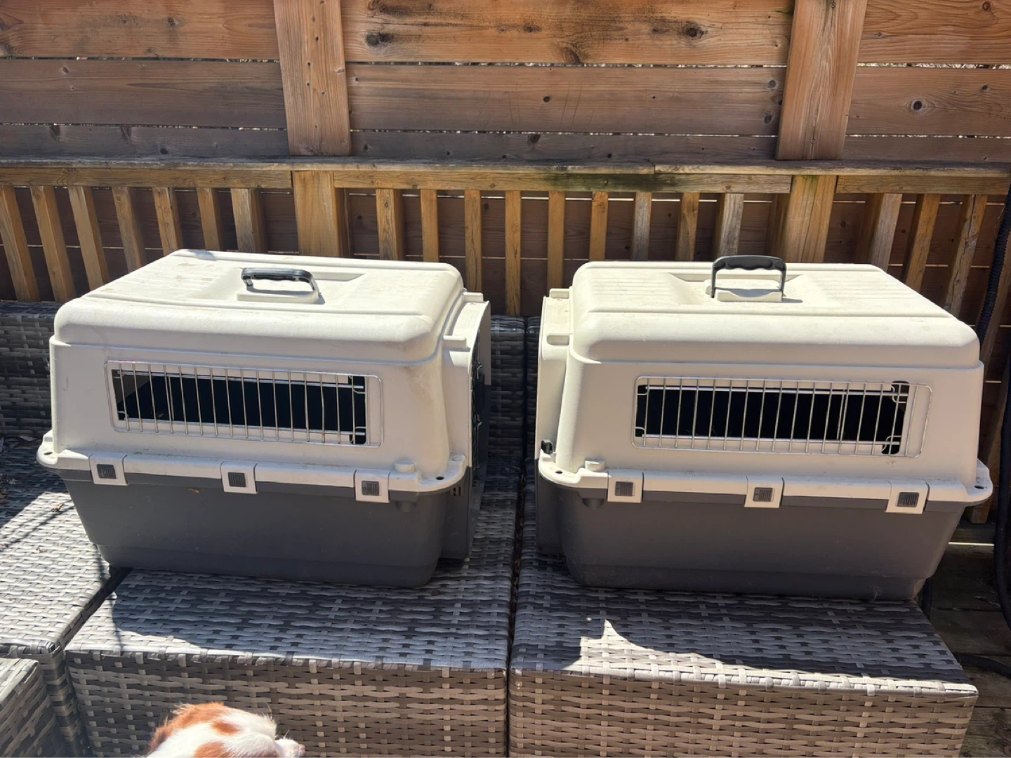 Pet Carrier Crates