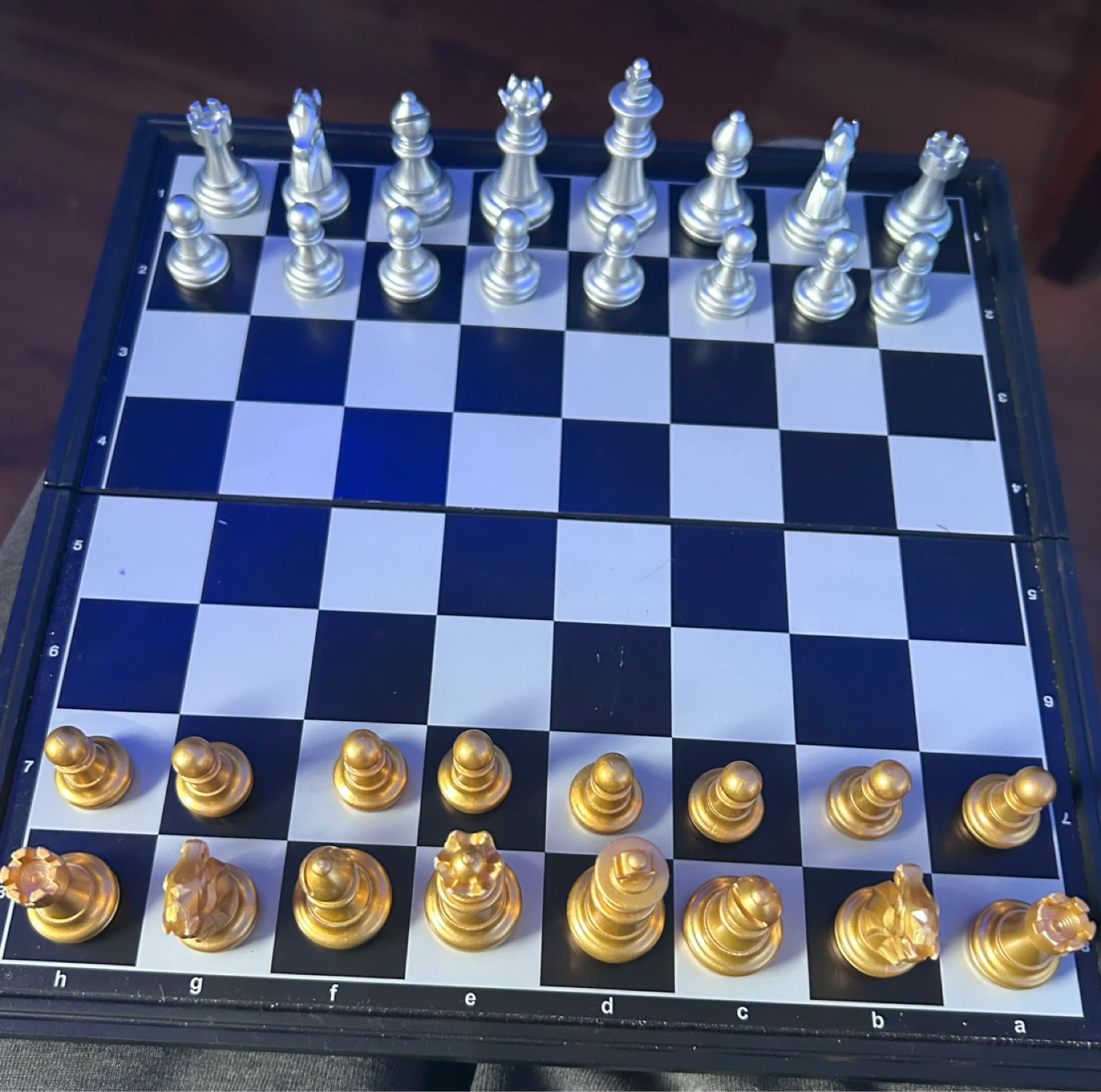 Magnetic Chess Set