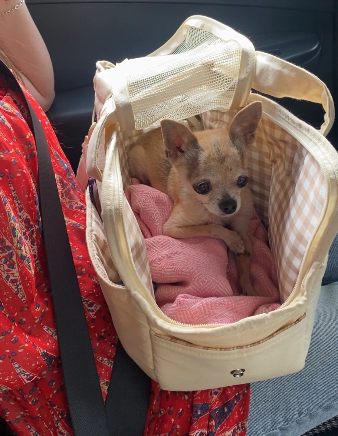 Pet purse crossbody carrier bag dogs & cats 🌱 - photo 2