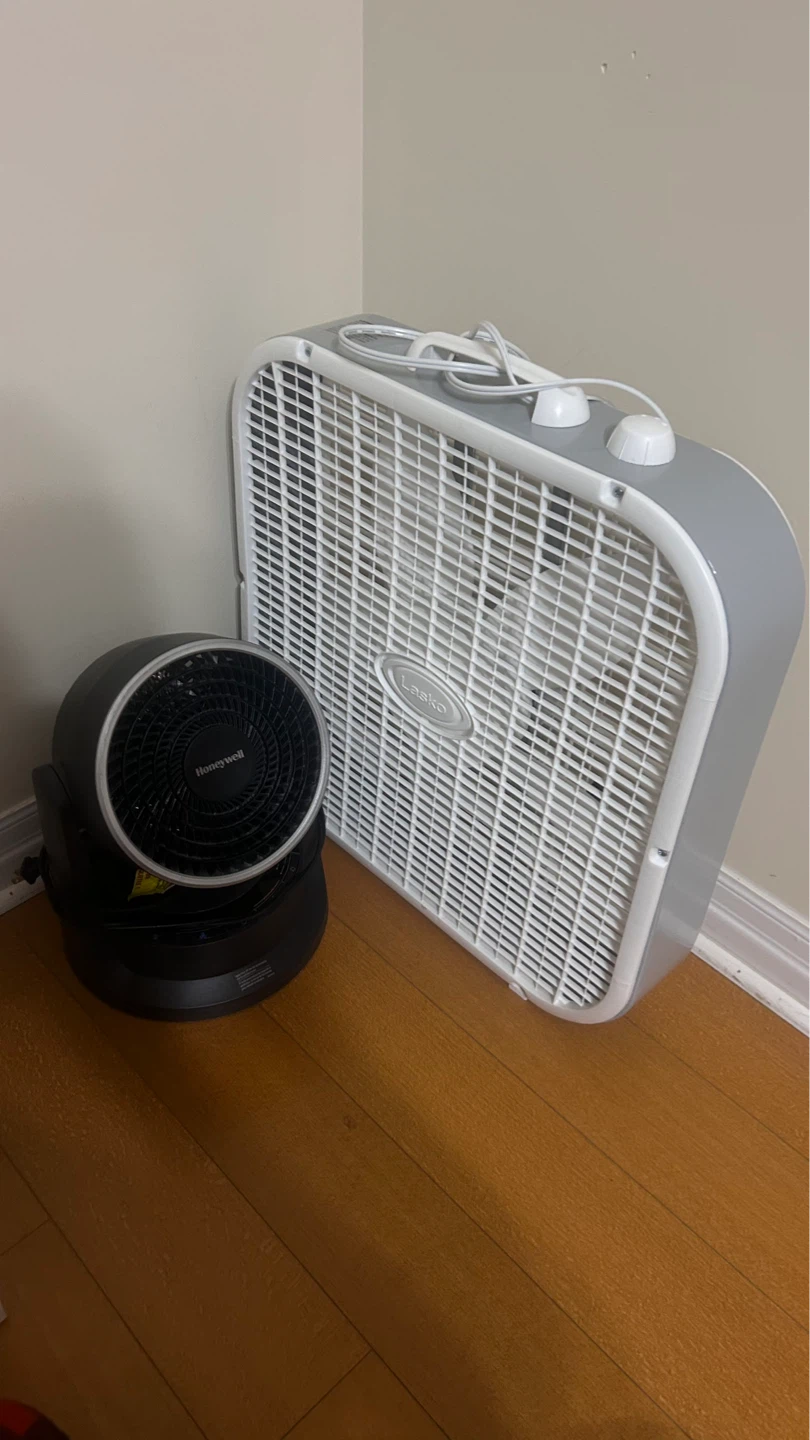 Lasko Box Fan & Honeywell Turbo Fan
