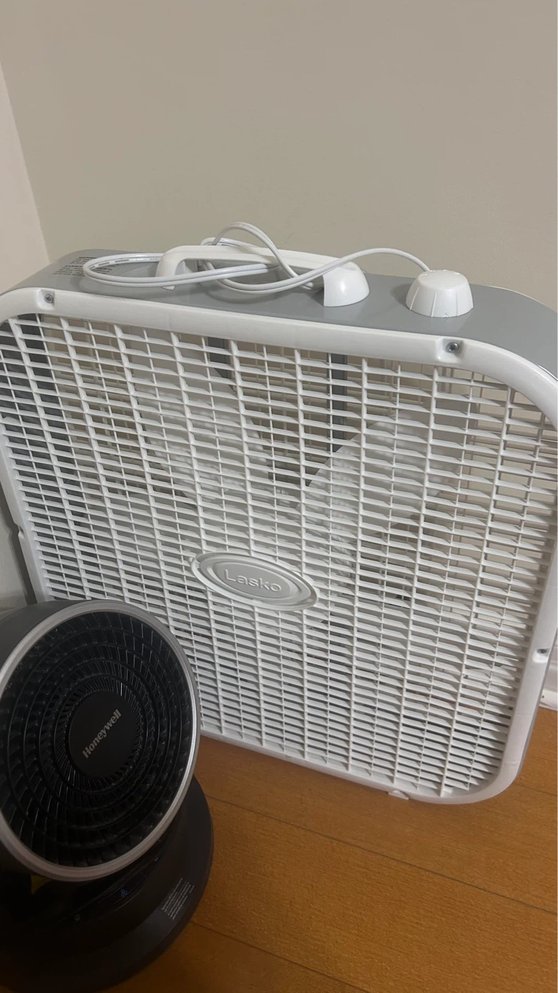 Lasko Box Fan & Honeywell Turbo Fan - photo 3