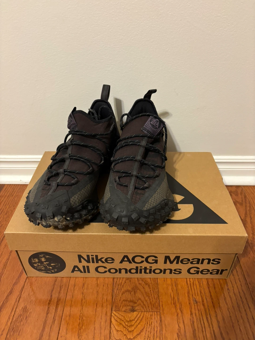 Nike ACG mountain fly low Shoes men US 9.5