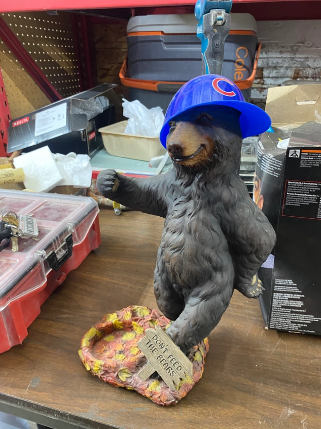 Bear - photo 2