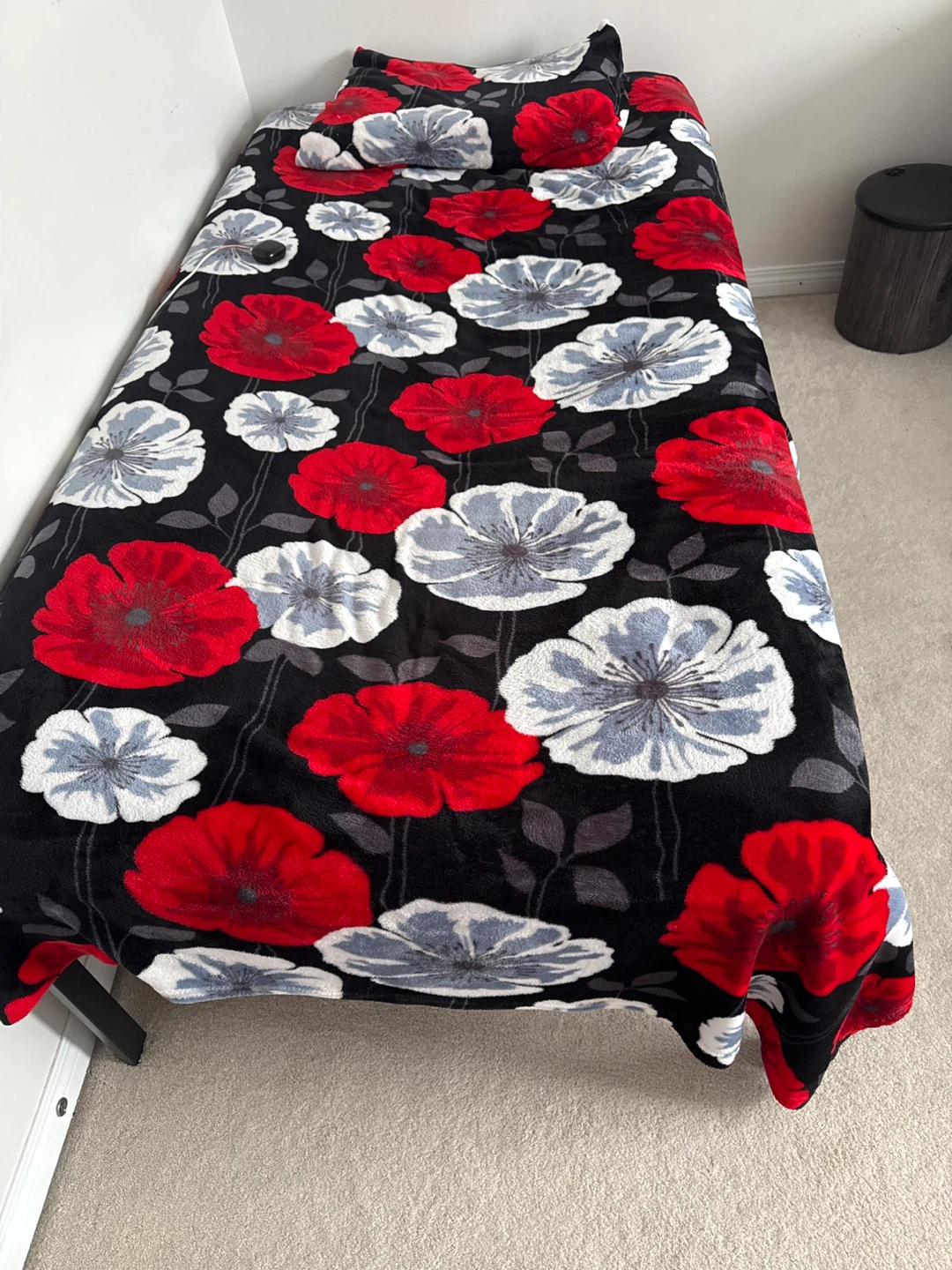Black Metal Twin Bed Frame and mattress
