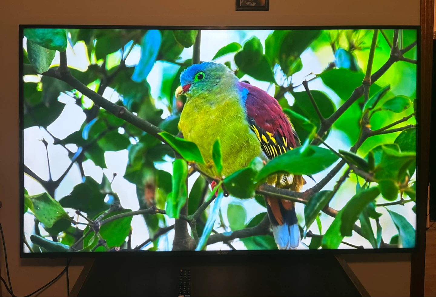 Sharp 65"TV