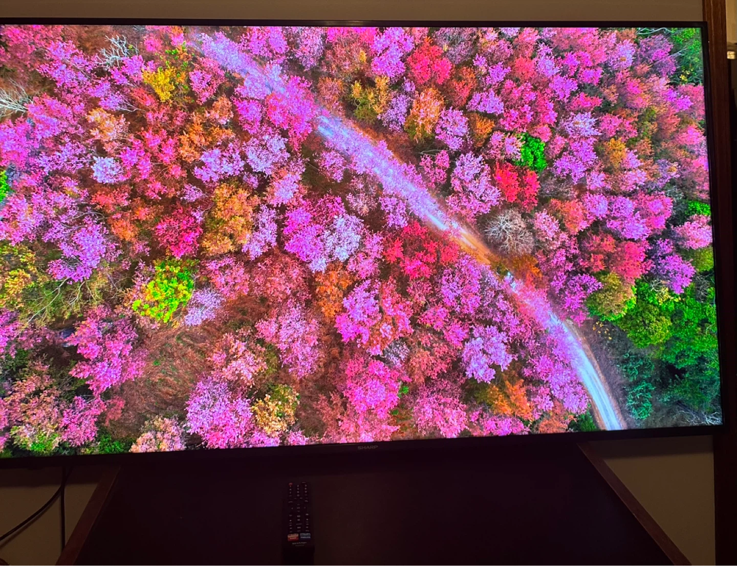 Sharp 65"TV - photo 3
