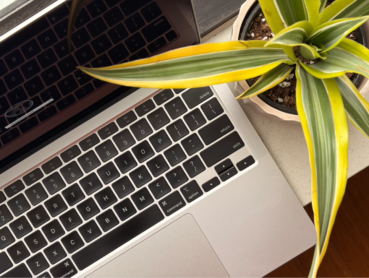 Apple MacBook Air (2020, M1, 13-inch) - photo 3